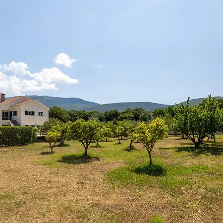 Arte Nefeli Villa Számi