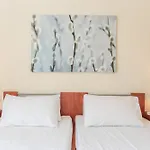 Arte Nefeli Sami (Kefalonia)